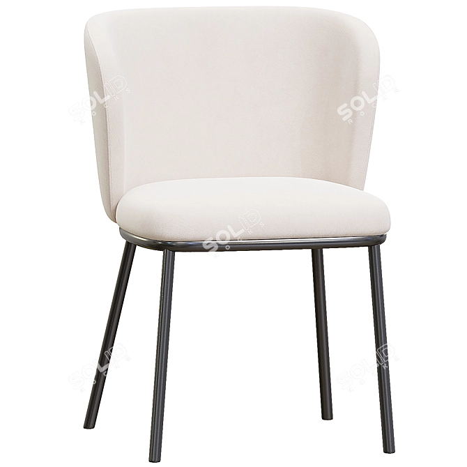 Modern Ciselia Chair 2014 Version 3D model image 3