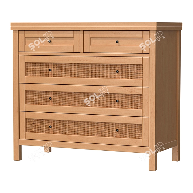 Scandinavian Vintage Design Chest 3D model image 1