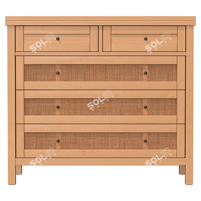 Scandinavian Vintage Design Chest 3D model image 2