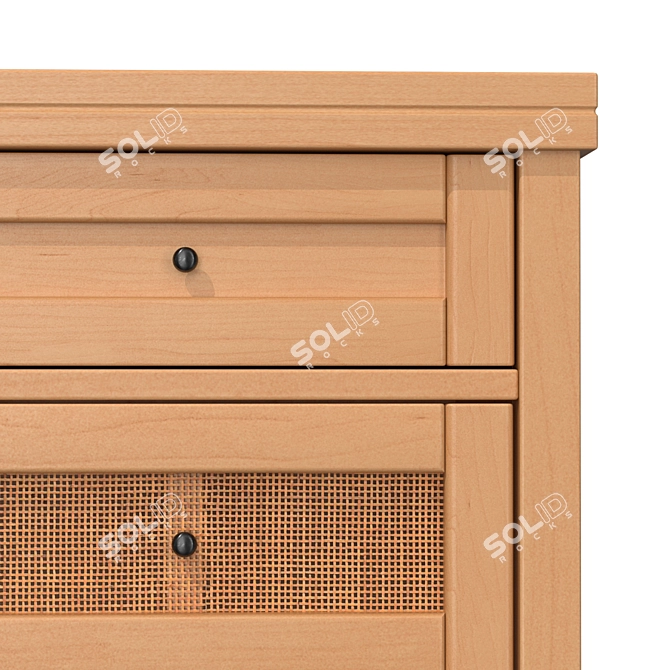 Scandinavian Vintage Design Chest 3D model image 3