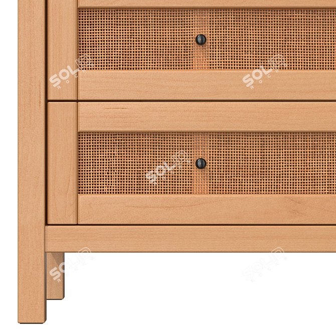 Scandinavian Vintage Design Chest 3D model image 4