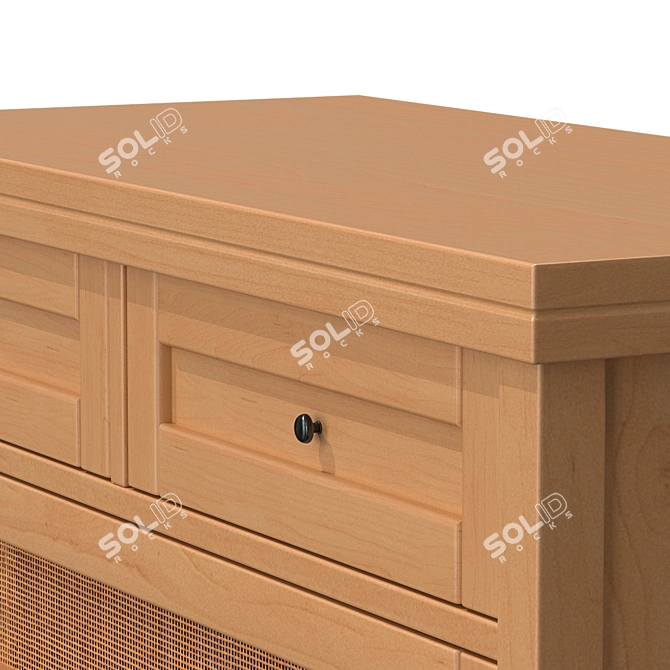 Scandinavian Vintage Design Chest 3D model image 5