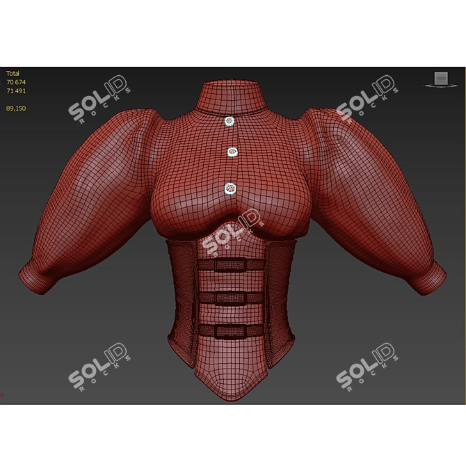 Leather Corset with Blouse 3D model image 3