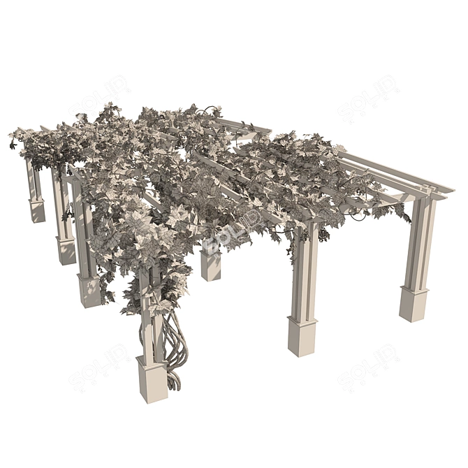 3D Grape Vine Pergola Models 3D model image 1