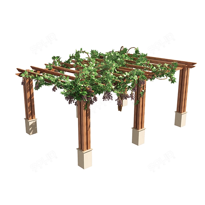 3D Grape Vine Pergola Models 3D model image 4