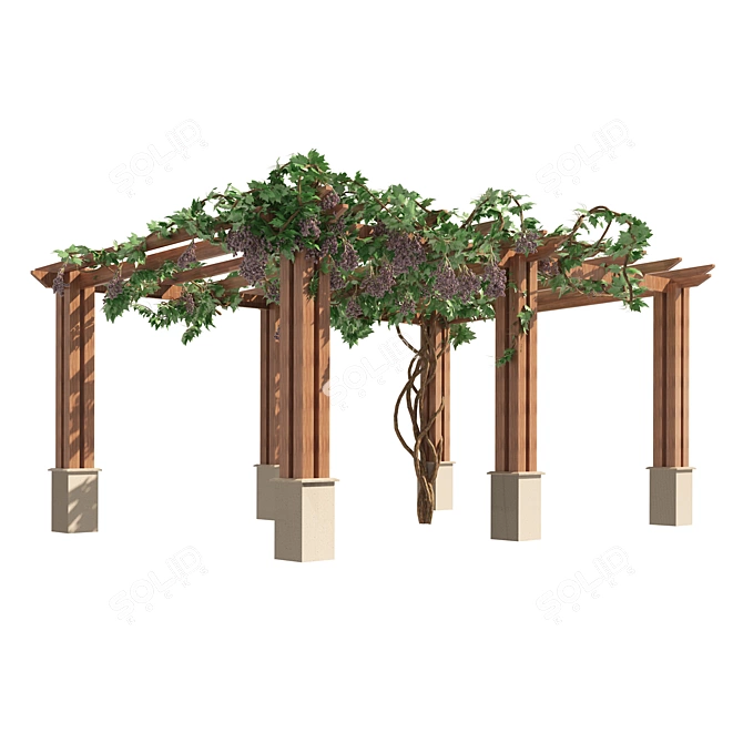 3D Grape Vine Pergola Models 3D model image 6