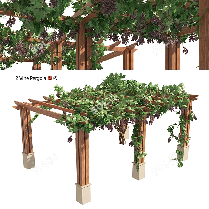 3D Grape Vine Pergola Models 3D model image 7