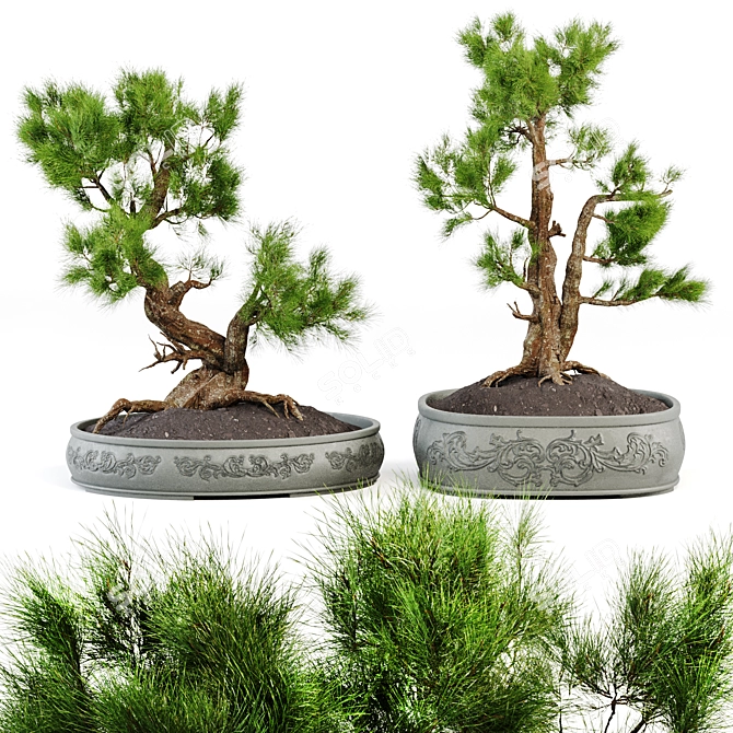 Bonsai Vases Set 2014 Vol.02 3D model image 1