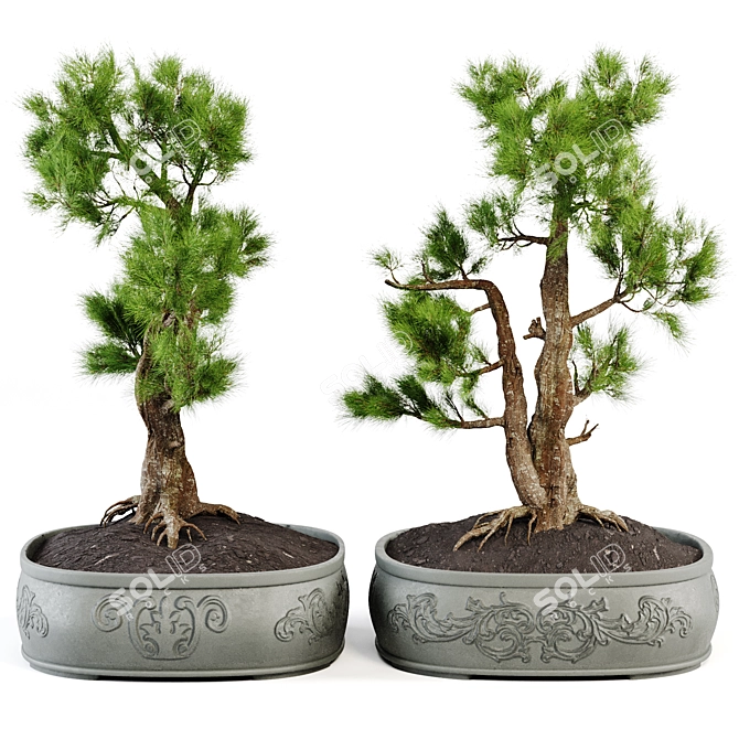 Bonsai Vases Set 2014 Vol.02 3D model image 3