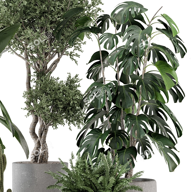 Rusty Concrete Pot Indoor Plants 3D model image 3