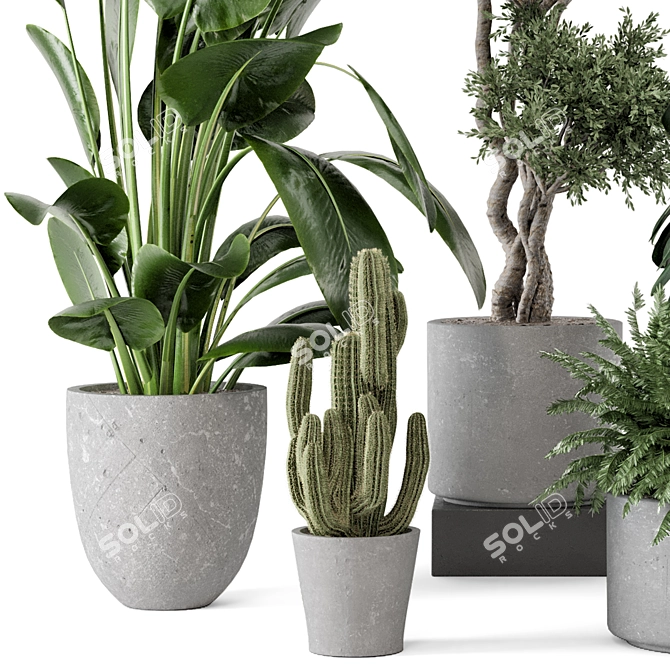 Rusty Concrete Pot Indoor Plants 3D model image 4