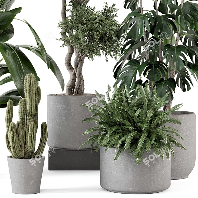 Rusty Concrete Pot Indoor Plants 3D model image 5