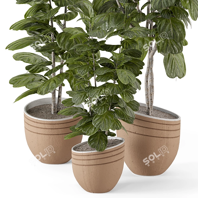 Rusty Concrete Pot Indoor Plants 3D model image 3