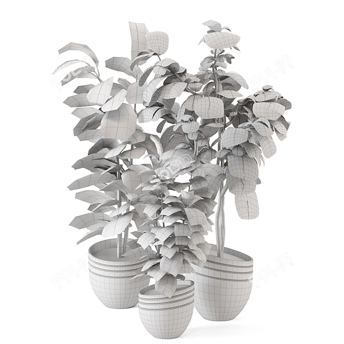 Rusty Concrete Pot Indoor Plants 3D model image 6