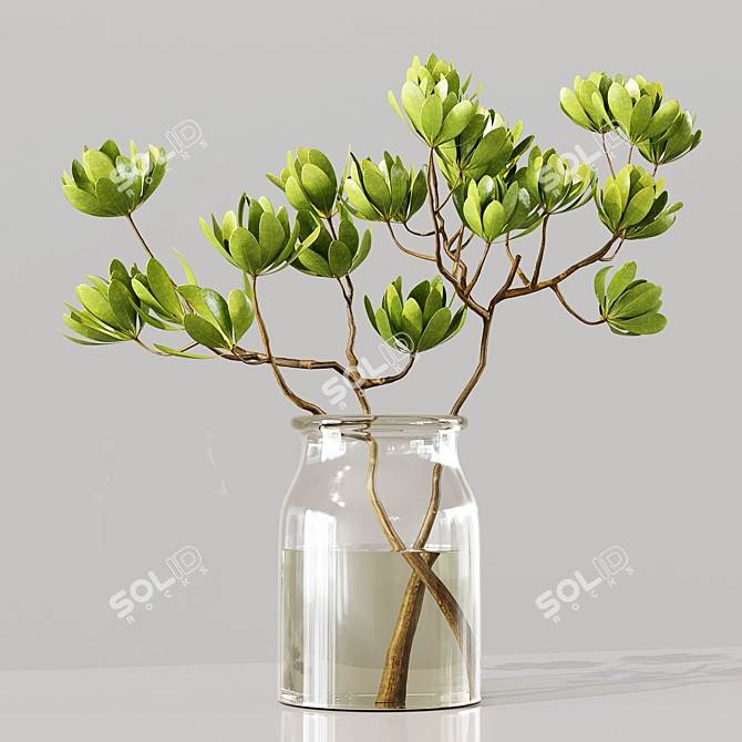 Premium Indoor Plants 3D Model 3D model image 2