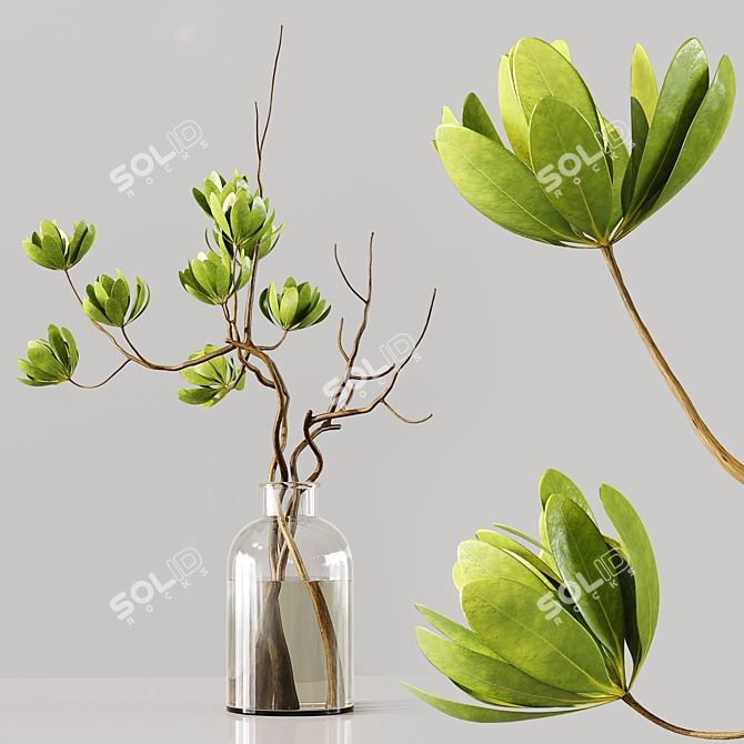 Premium Indoor Plants 3D Model 3D model image 3