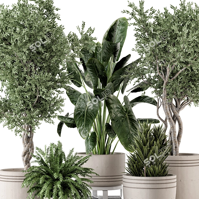 Rusty Concrete Pot Indoor Plants 3D model image 2