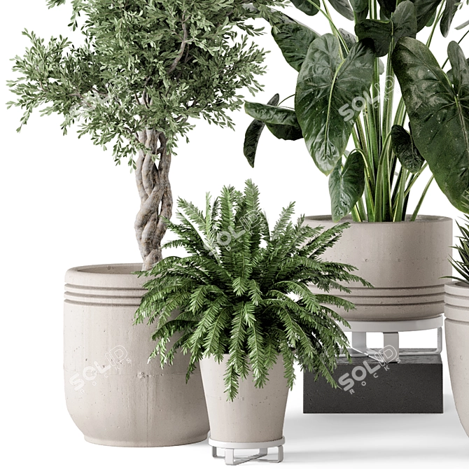 Rusty Concrete Pot Indoor Plants 3D model image 4