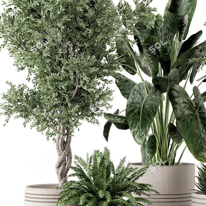 Rusty Concrete Pot Indoor Plants 3D model image 6