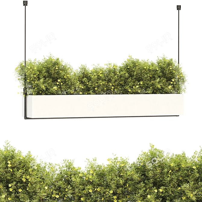 Optimal Quality Plant Collection 3D model image 1