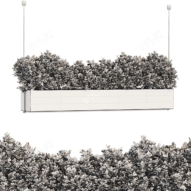 Optimal Quality Plant Collection 3D model image 2