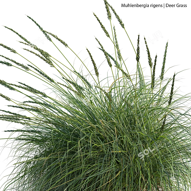 Max 3D Models Set Texture 3D model image 2