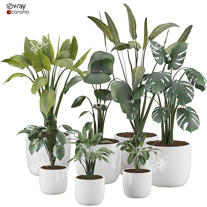  2015 Version 3D Plant Model 3D model image 1