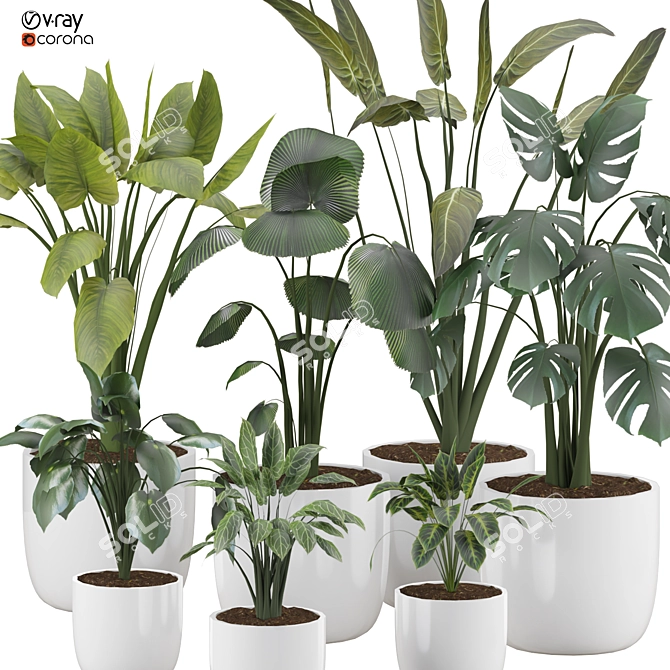  2015 Version 3D Plant Model 3D model image 2