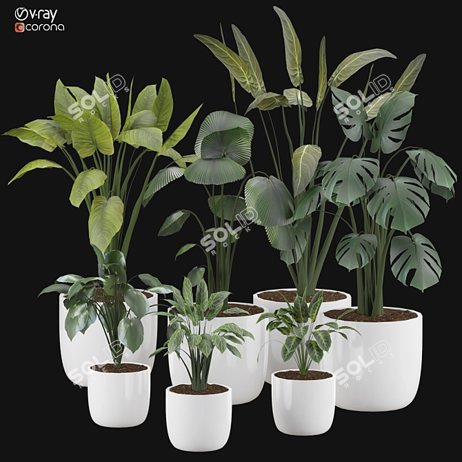  2015 Version 3D Plant Model 3D model image 3