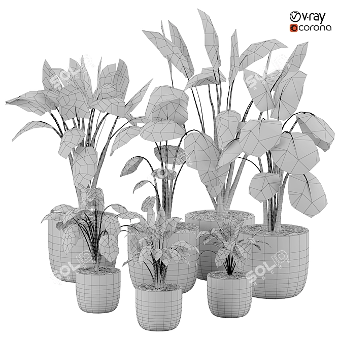  2015 Version 3D Plant Model 3D model image 4