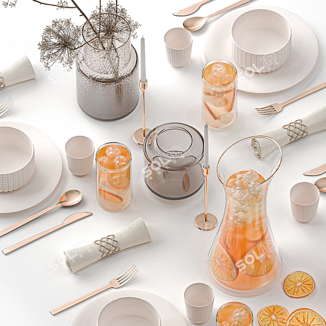 Eco Citrus Table Setting Kit 3D model image 5