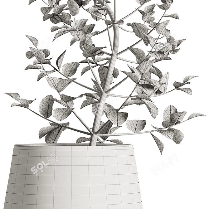 Midnight Bliss Vase with Plants 3D model image 4