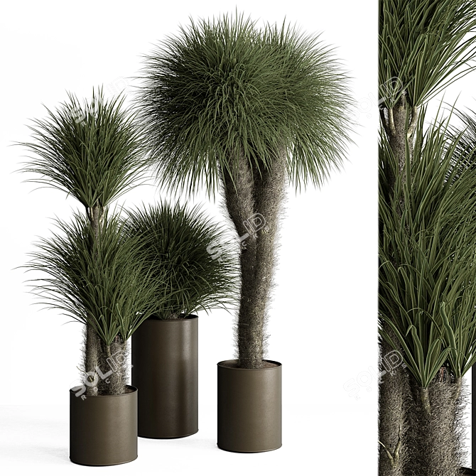 Tropical Fluffy Plant Set 405 3D model image 1