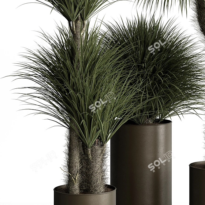 Tropical Fluffy Plant Set 405 3D model image 3