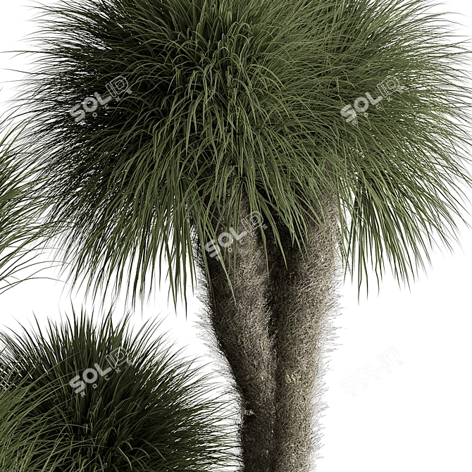 Tropical Fluffy Plant Set 405 3D model image 4