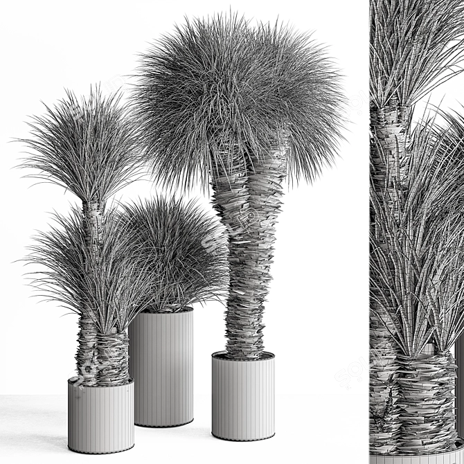 Tropical Fluffy Plant Set 405 3D model image 5