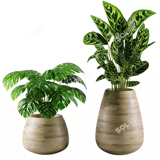 Modern Indoor Plants Collection 18 3D model image 2