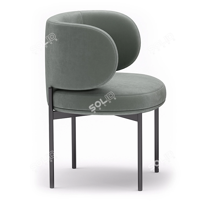 Gallotti&Radice Akiko Chair Collection 3D model image 4