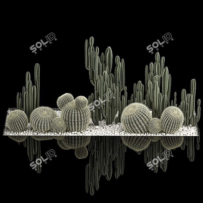 Desert Plant Collection: Cactus Garden 3D model image 2