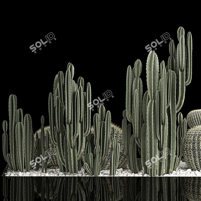 Desert Plant Collection: Cactus Garden 3D model image 3