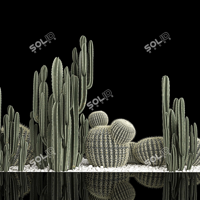 Desert Plant Collection: Cactus Garden 3D model image 5