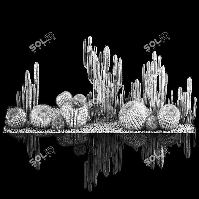 Desert Plant Collection: Cactus Garden 3D model image 7