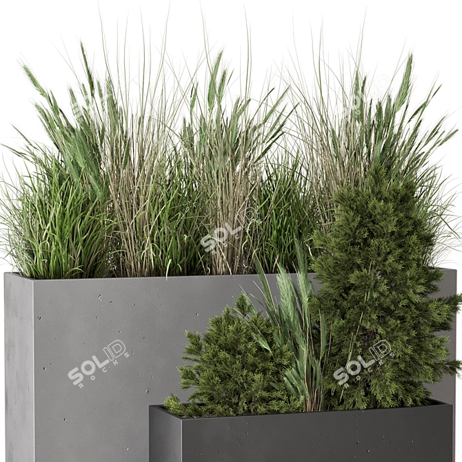 Rusty Concrete Pot with Outdoor Bush 3D model image 2