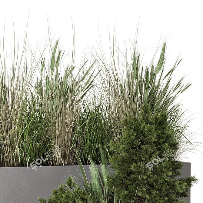 Rusty Concrete Pot with Outdoor Bush 3D model image 5