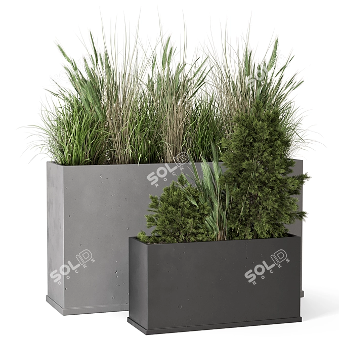 Rusty Concrete Pot with Outdoor Bush 3D model image 6