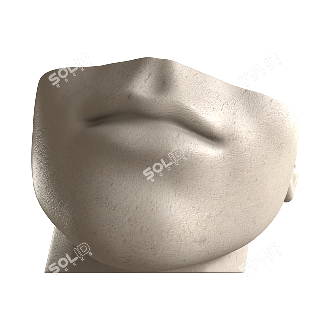 Versatile Detachable Face Fountain 3D model image 4