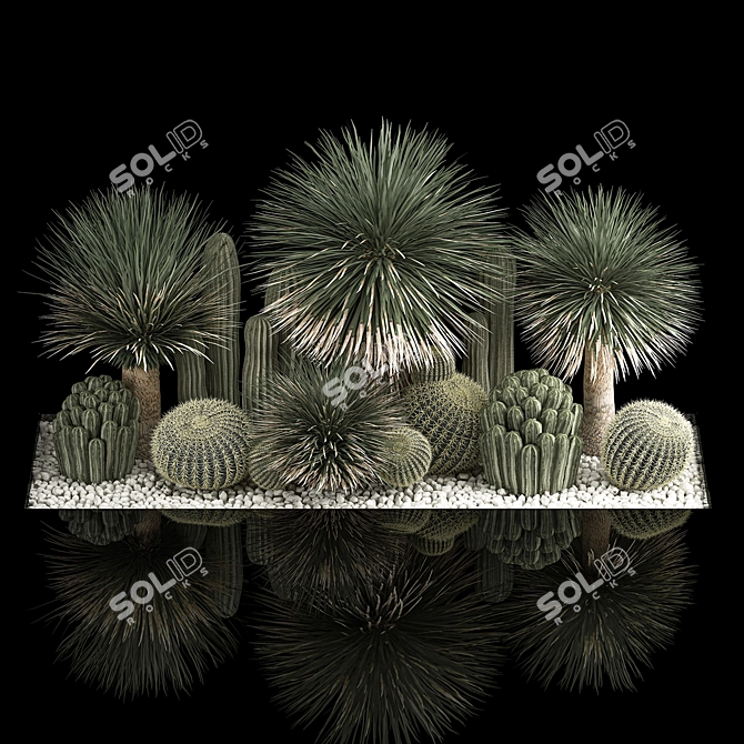 Desert Plant Set for Landscaping with Yucca, Dracaena, Cactus 3D model image 2