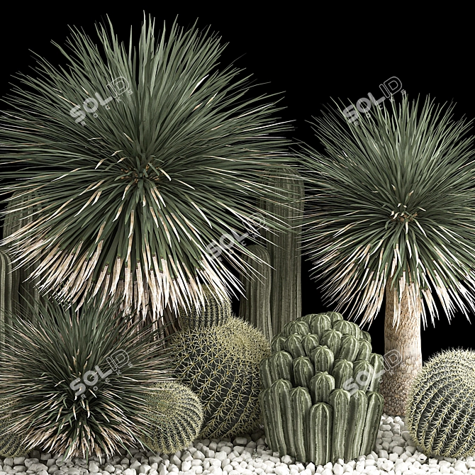 Desert Plant Set for Landscaping with Yucca, Dracaena, Cactus 3D model image 4