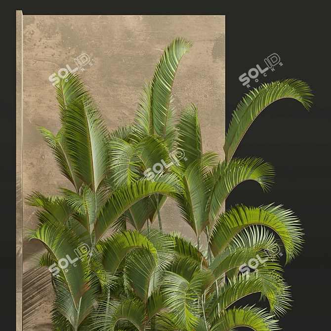 Chrysalidocarpus Lutescens 3D Plant Model 3D model image 4