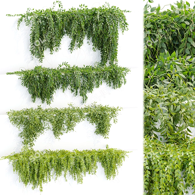  Hanging Wall Plants Vol. 109 3D model image 1